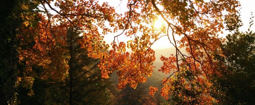 Foliage in Toscana: ecco dove andare