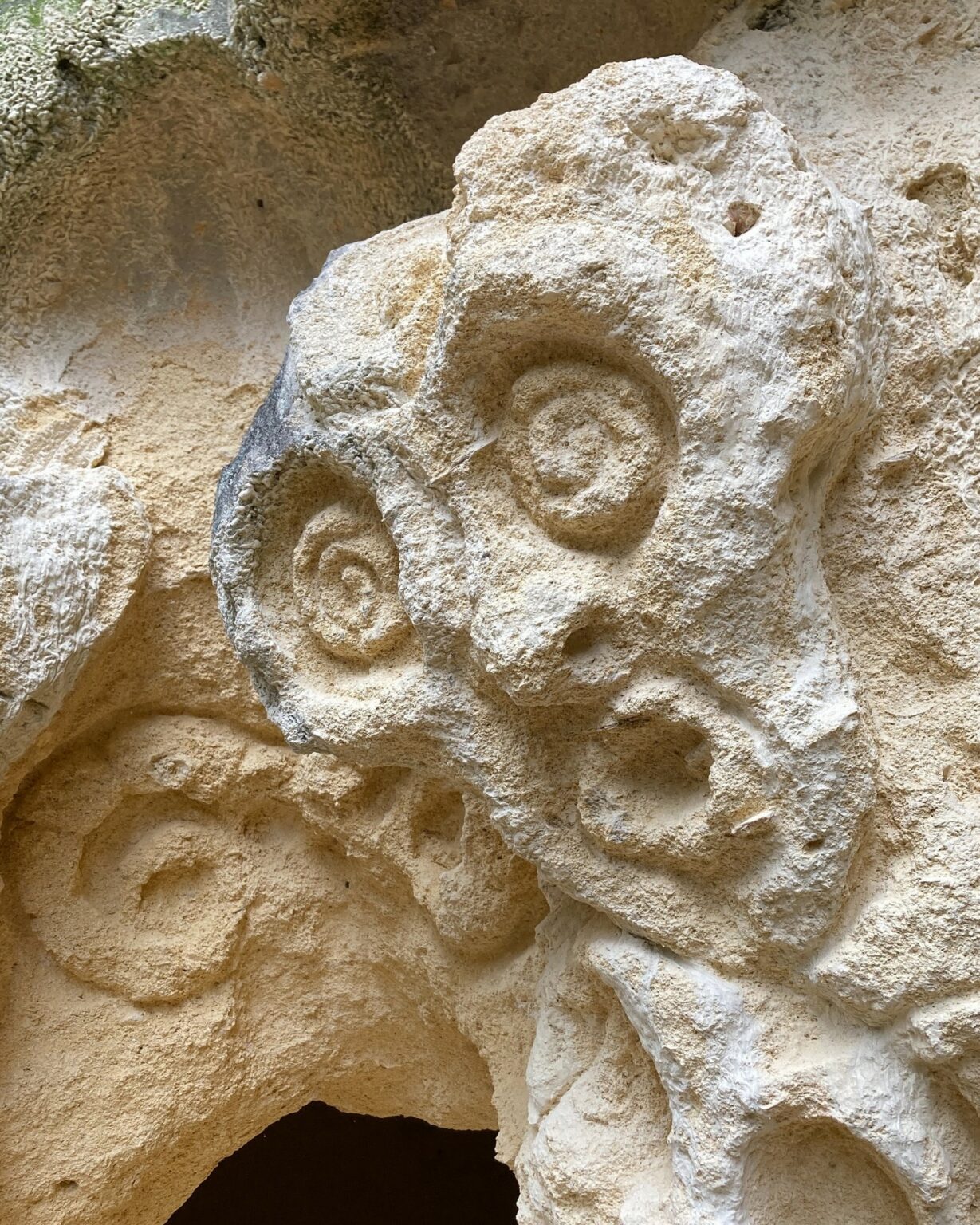 le-grotte-gialle-di-bibbona-cosa-sono-e-come-arrivar-borghi-toscana