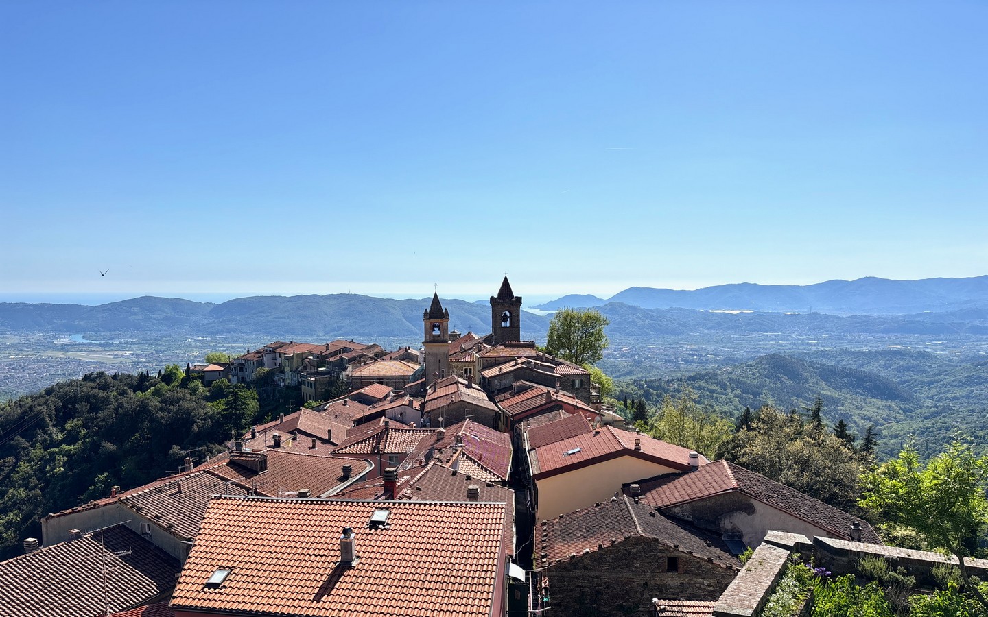 Portfolio Image