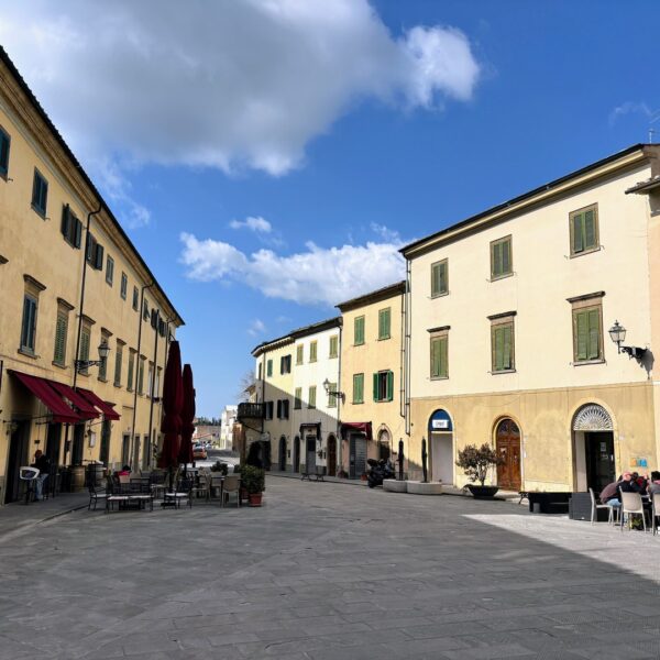 Portfolio Image