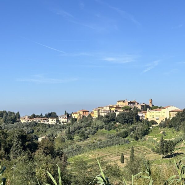 Portfolio Image