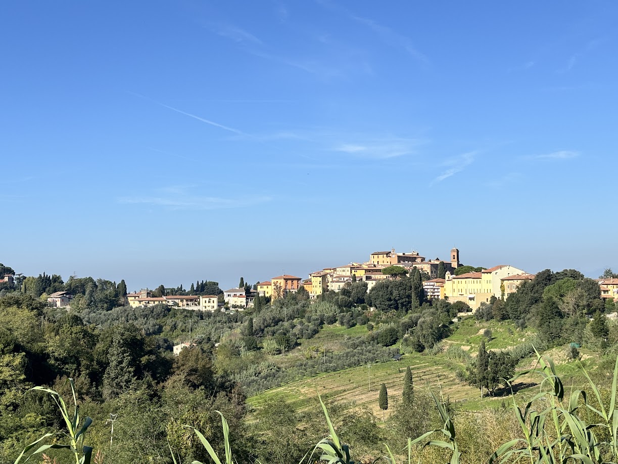 Portfolio Image