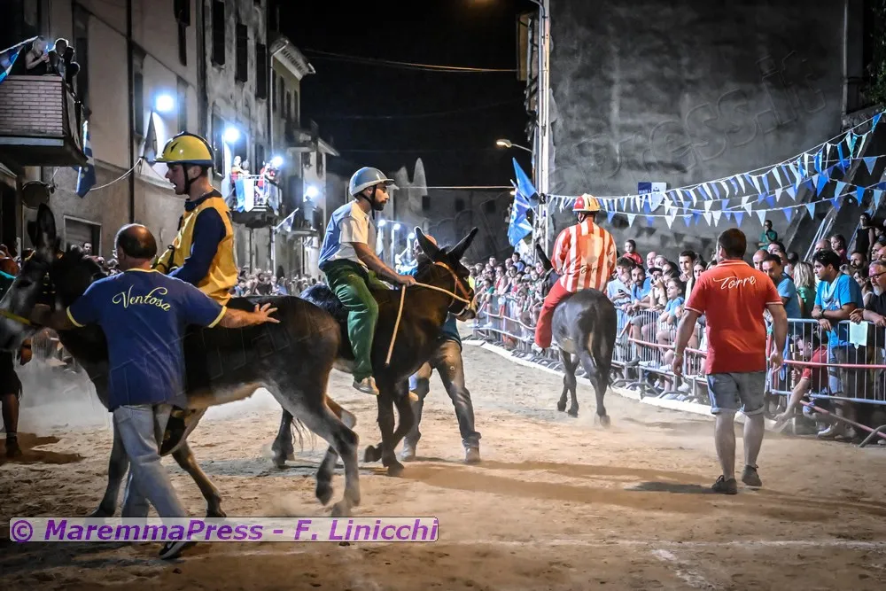 Palio dei Ciuchi 2025 di Roccatederighi